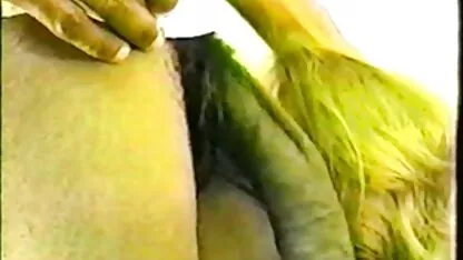 মিস্টার এর এডভেন্ঞার ট্যুরিজম. 18 ইঞ্চি পিটি3