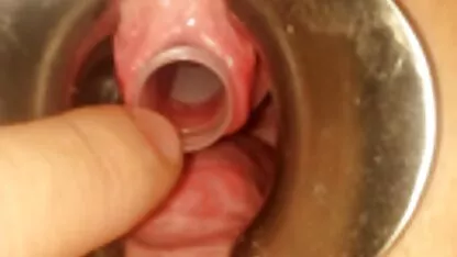 খেলনা 12