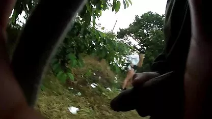 ঝলকানি 2 একটি উত্সব তারা এটা ভালবাসা মেয়েরা!