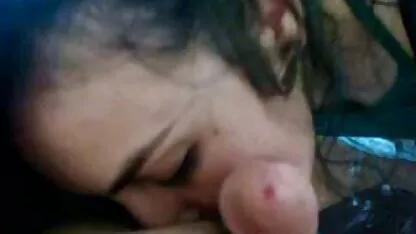 আঙ্কারা তুর্কি আফ্রিকান খুব বড়