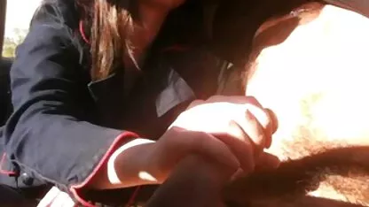 হাতের কাজ মধ্যে গাড়ী 18 + 2 তথা