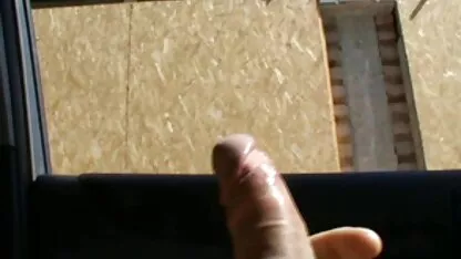 সিনেমা ভোল ফ্ল্যাশ.দুই