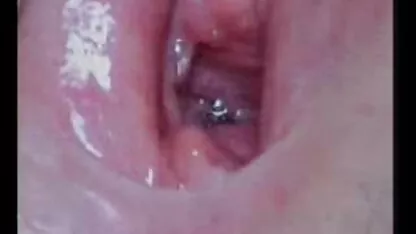 লেবানন থেকে সিঁড়ি 4