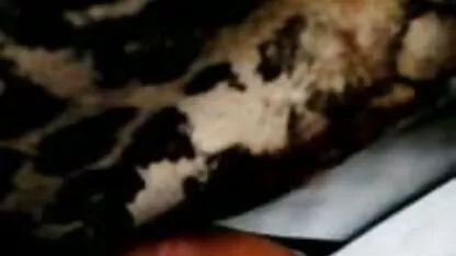 বাস প্রেস তিন