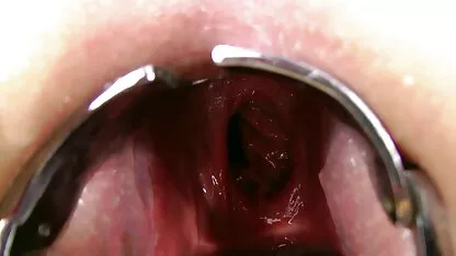 হার্ডকোর ব্লজব তিনে মিলে দুর্দশা অপেশাদার